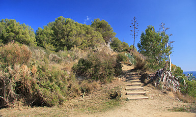 Camí de ronda, Palamós